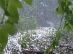 В Саратовской области ожидаются дожди и град