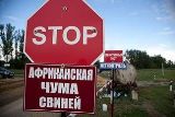 Губернатор бласти В.Радаев отменил карантин по АЧС на территории нескольких населенных пунктов региона.