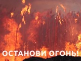 Противопожарная кампания "Останови огонь!"