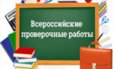 У саратовских школьников проверят знание русского языка