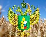 15 февраля 2017 года в ФГБОУ ВО «СГАУ им.Вавилова» состоялось заседание Коллегии министерства сельского хозяйства области 