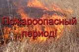 Пожароопасный сезон в лесах Саратовской области начнется 15 апреля 
