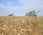 В Саратовской области собрали 5 миллионов тонн зерна. На сегодняшний день регион сохраняет лидерство в ПФО. Спасибо нашим аграриям, которые грамотно спланировали посевную и уборочную кампании и подготовились к ним.