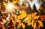 Прогноз погоды