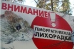 Внимание!!! Геморрагическая лихорадка с почечным синдромом в Саратовской области