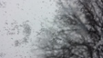 Прогноз погоды