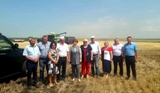 На полях ООО "Сергиевское"
