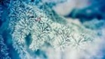 Прогноз погоды