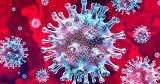 Рекомендации для населения  по  профилактике COVID-19 в период майских праздников