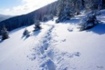 Зима выдалась снежная