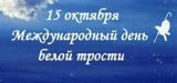 Саратовцы примут участие в VII Международном инклюзивном фестивале языков и культур «Искры Дружбы» 