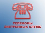 МЧС напоминает номера вызовов экстренных служб