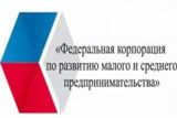 В 2016 году АО «Федеральная корпорация по развитию малого и среднего предпринимательства» создан бесплатный информационный ресурс «Бизнес-навигатор МСП».