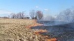 В Саратовской области объявили о начале пожароопасного сезона