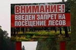 На территории области вновь введен режим ограничения пребывания граждан в лесах