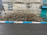Лазарев Валерий Геннадьевич провел рейд по благоустройству города, освятил ряд критически важных аспектов, требующих незамедлительного вмешательства. 