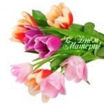 Поздравление и.о. главы Калининского МР В.Г. Лазарева, председателя Калининского районного Собрания С.С. Нугаева с Днем матери!