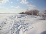 В Калининском районе насмерть замерзли двое братьев 