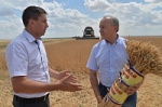 Валерий Радаев поздравил жителей области с намолотом первых 500 тысяч тонн зерна нового урожая