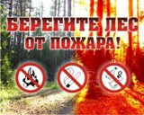 Памятка по предотвращению лесных пожаров