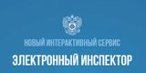  «Электронный инспектор» 