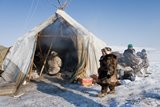 дневникпереписи ПО ТАЙГЕ И ТУНДРЕ: ИЗ ЧУКОТКИ — В ТЮМЕНСКУЮ ОБЛАСТЬ.