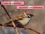 Слово не воробей…