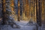 Синоптики обещают саратовцам мороз и порывы северного ветра 