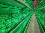 ПОДВЕДЕНИЕ ИТОГОВ: РЕАЛИЗАЦИЯ ИНВЕСТИЦИОННЫХ ПРОЕКТОВ В 2024 ГОДУ НА ТЕРРИТОРИИ КАЛИНИНСКОГО РАЙОНА