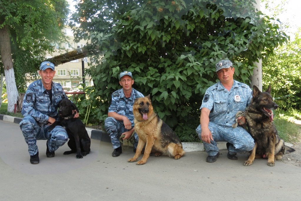 кинологи 3.jpg