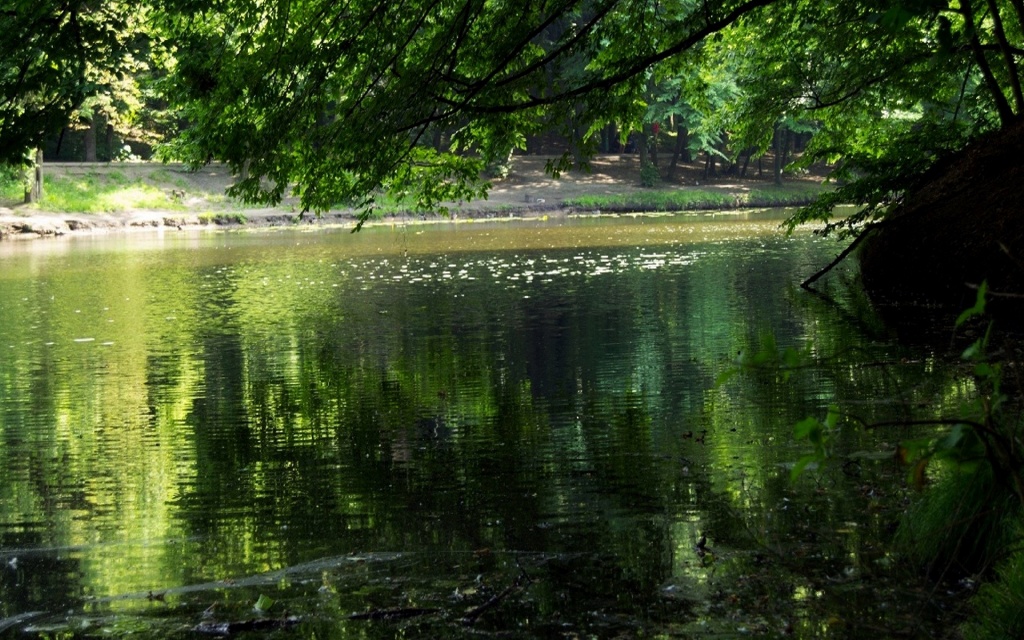 look.com.ua-104013.jpg look.com.ua-104013.jpg