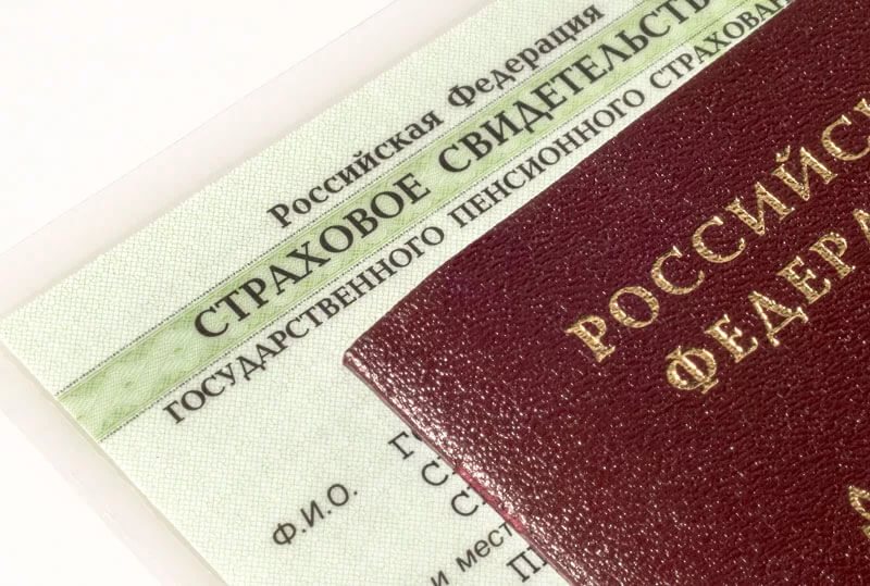 снилс.jpg