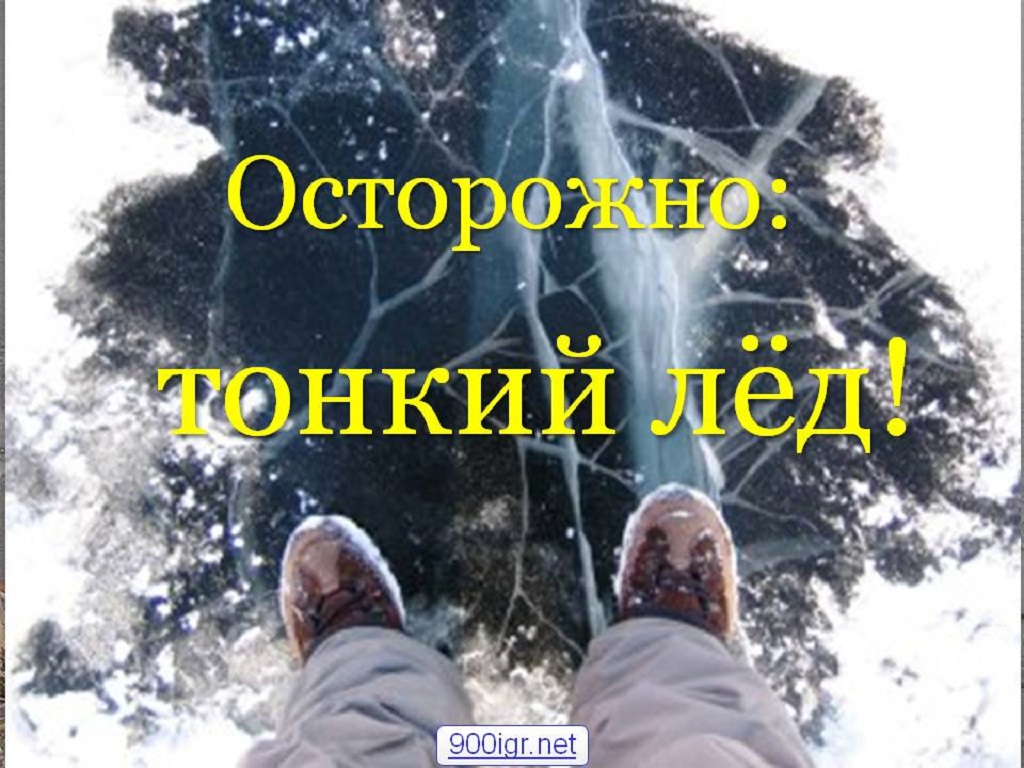 лед.jpg
