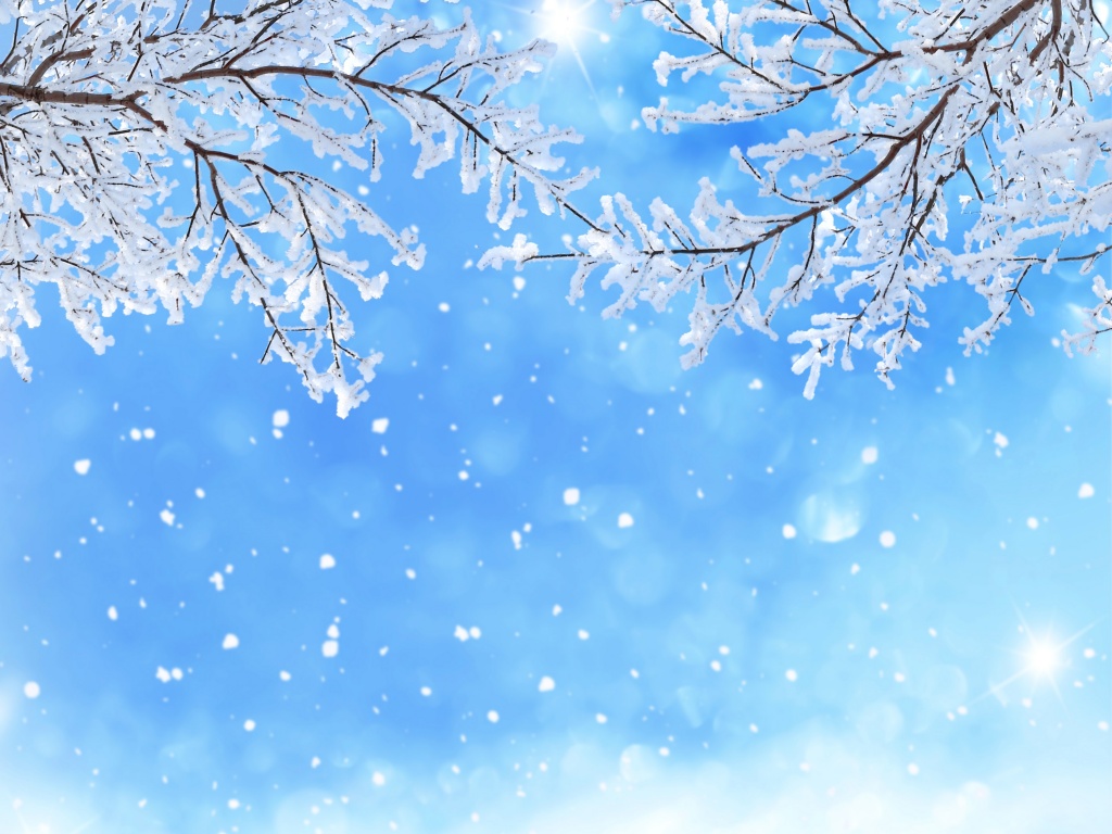 Winter_Branches_Snow_460053.jpg