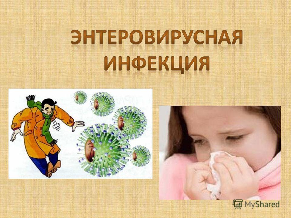 энтеровирус.jpg
