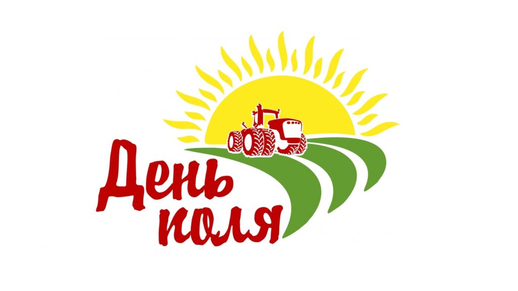 день поля.jpg