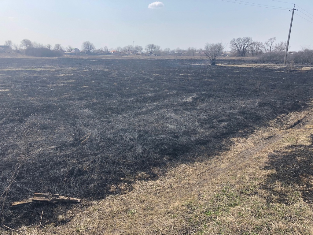 image1.jpeg image1.jpeg