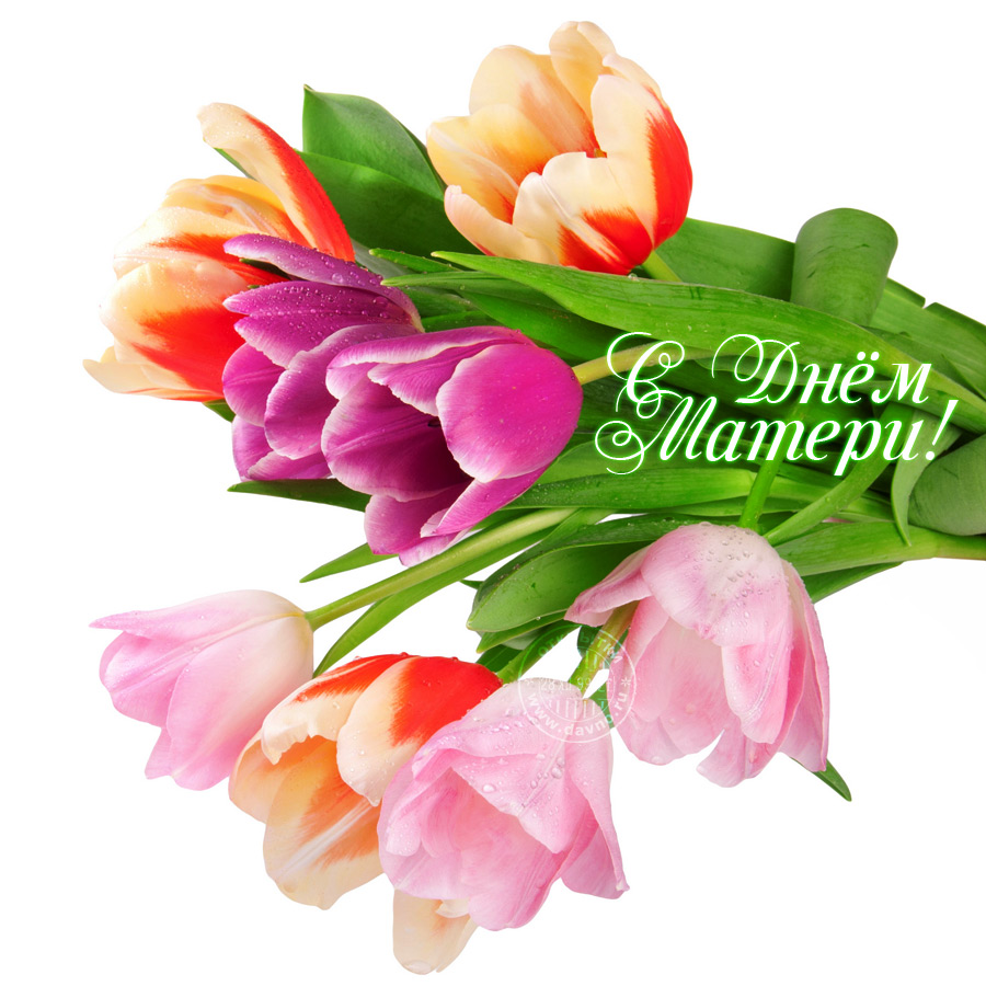 матери.jpg