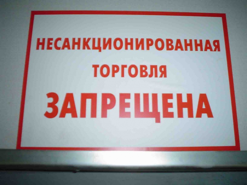 несан.jpg