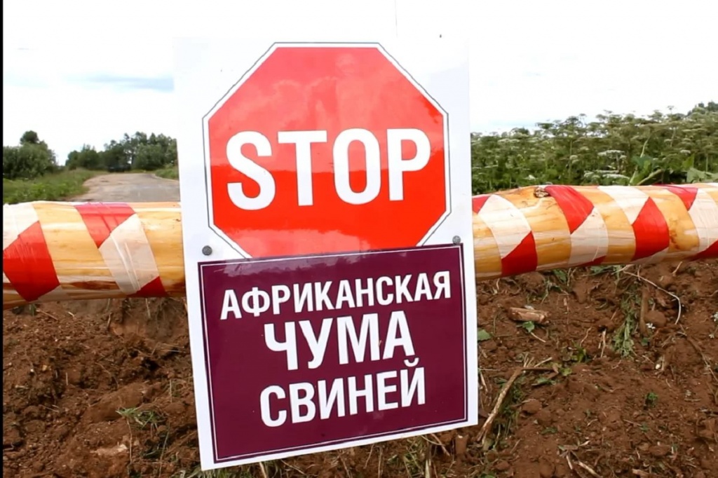 чума.jpg