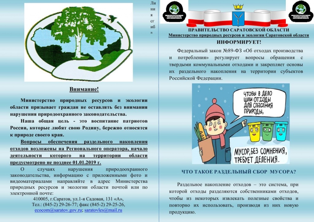 5b1bcd9fdef449.53189273.jpg