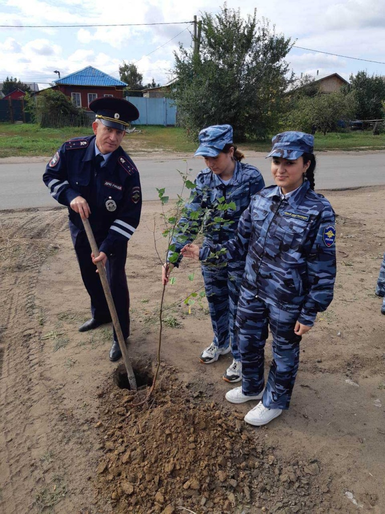 лес4.jpg