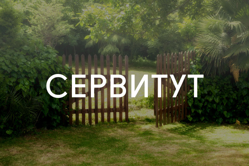сервиткт.jpg