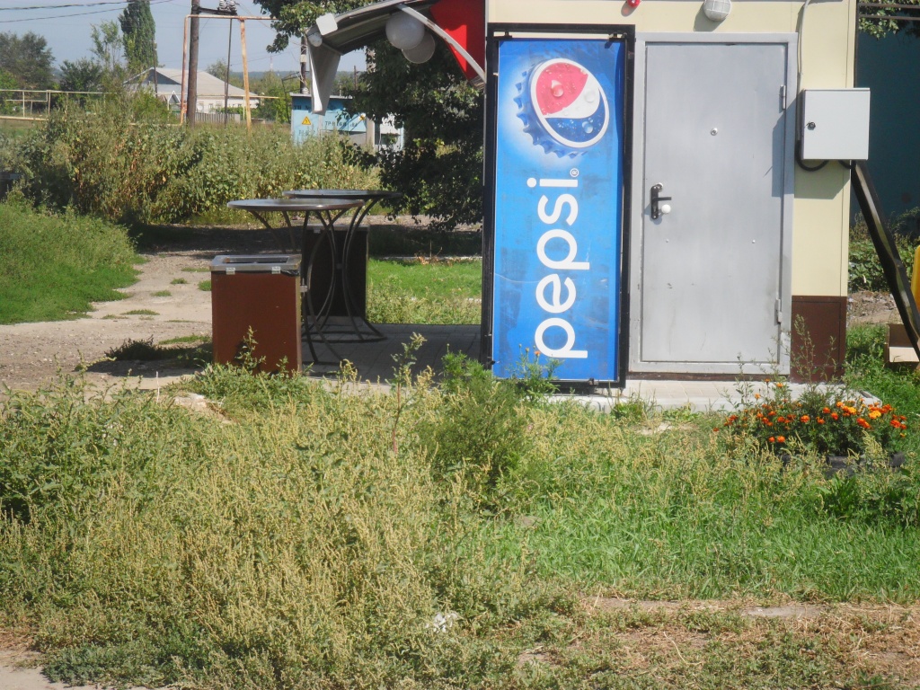 10.JPG