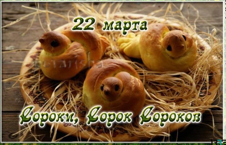 сороки.jpg