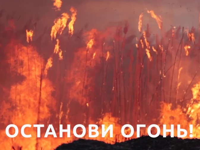 огонь.jpg огонь.jpg