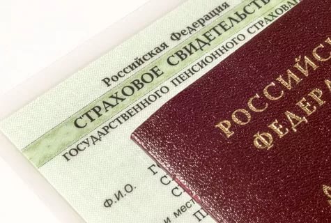 страховое свидет.jpg