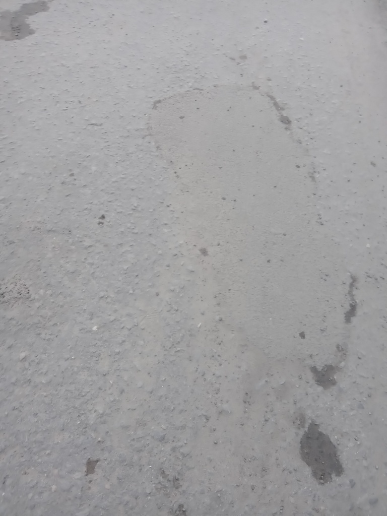 20250321_1516.jpg 20250321_1516.jpg