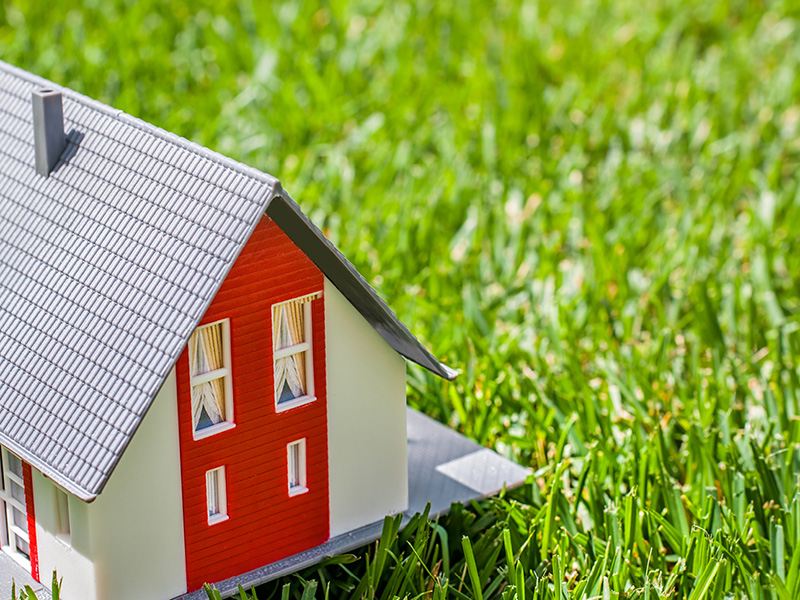 земельный участок.jpg