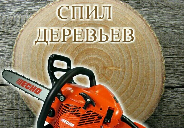 спил деревьев.jpg